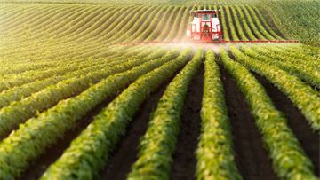 Why Spain's crop protection rules reveal a costly gap in EU implementation