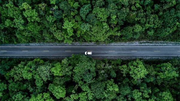 COP30: Time to unlock the potential of sustainable fuels