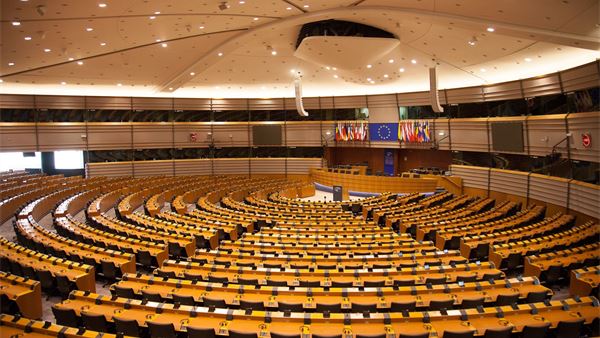Parliament cannot walk away from defending Europe's democratic authority and industrial sovereignty