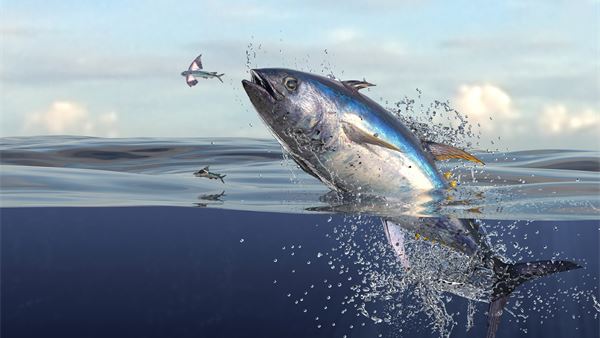 Can Europe trust Thai tuna?