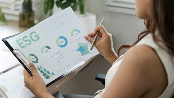 Why simplified European Sustainability Reporting Standards deserve implementation, not further reduction