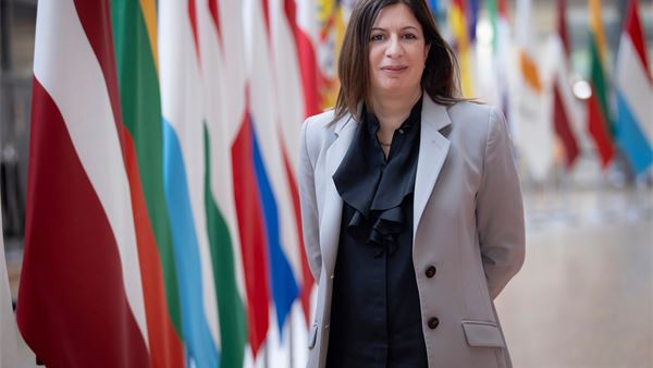 Q&A: Cyprus' role in shaping the next round of EU enlargement