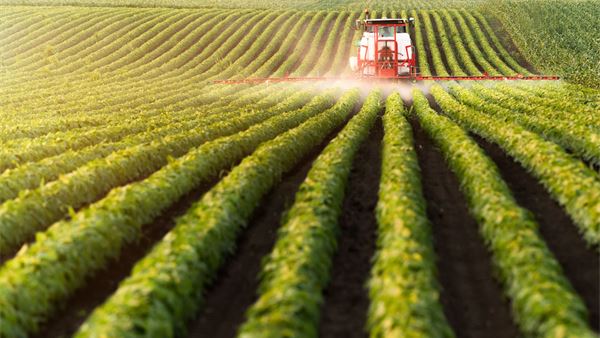 Why Spain's crop protection rules reveal a costly gap in EU implementation