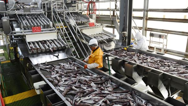 Why Russian fish keeps slipping the sanctions net