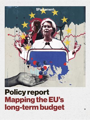 Policy report: Mapping the EU's long-term budget