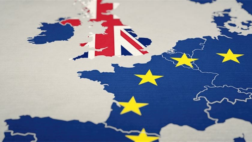 Brexit and COVID-19: An end to both in 2020?