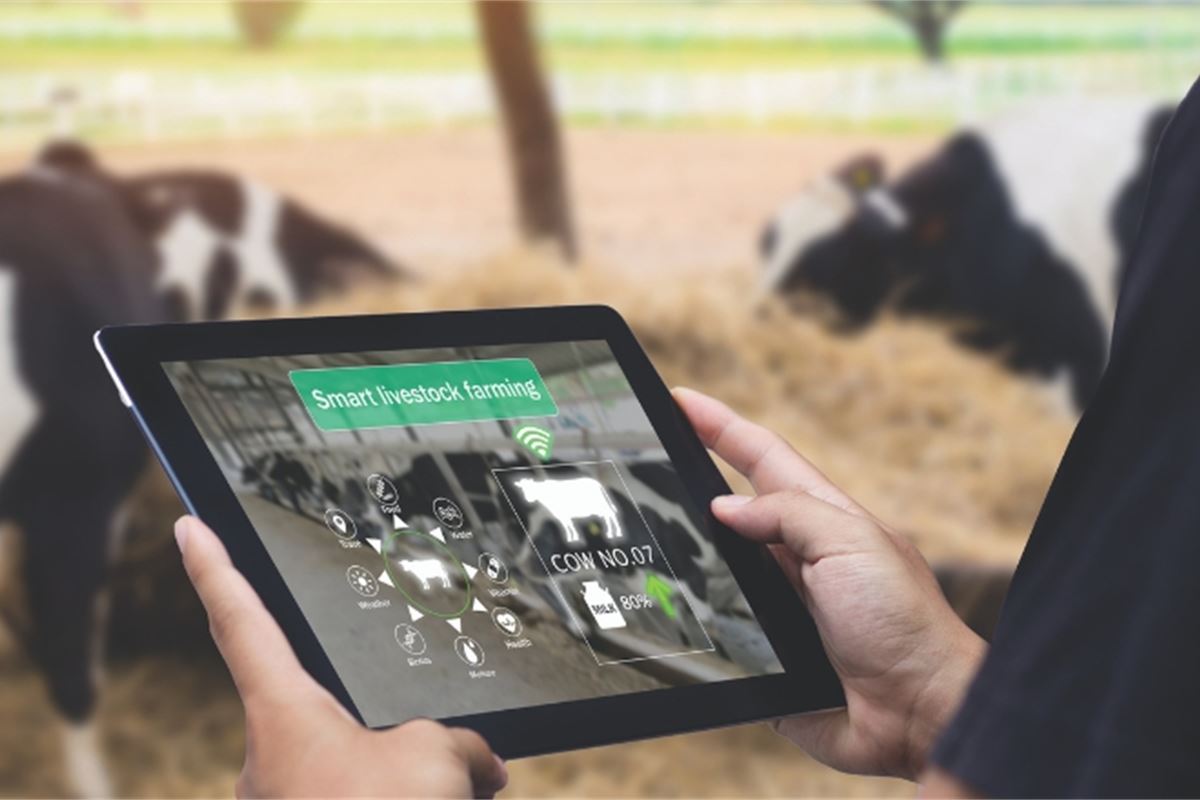 Access to more and better data key to delivering high standards of animal  welfare and sustainable food production