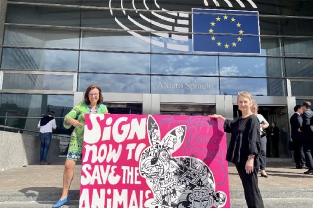 animal-experiments-how-many-times-do-we-have-to-say-enough-is-enough