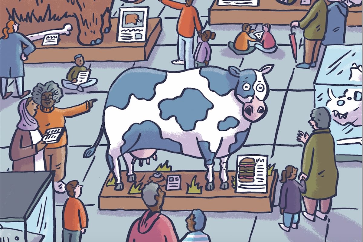 Whither the cow? Whither the cow?
