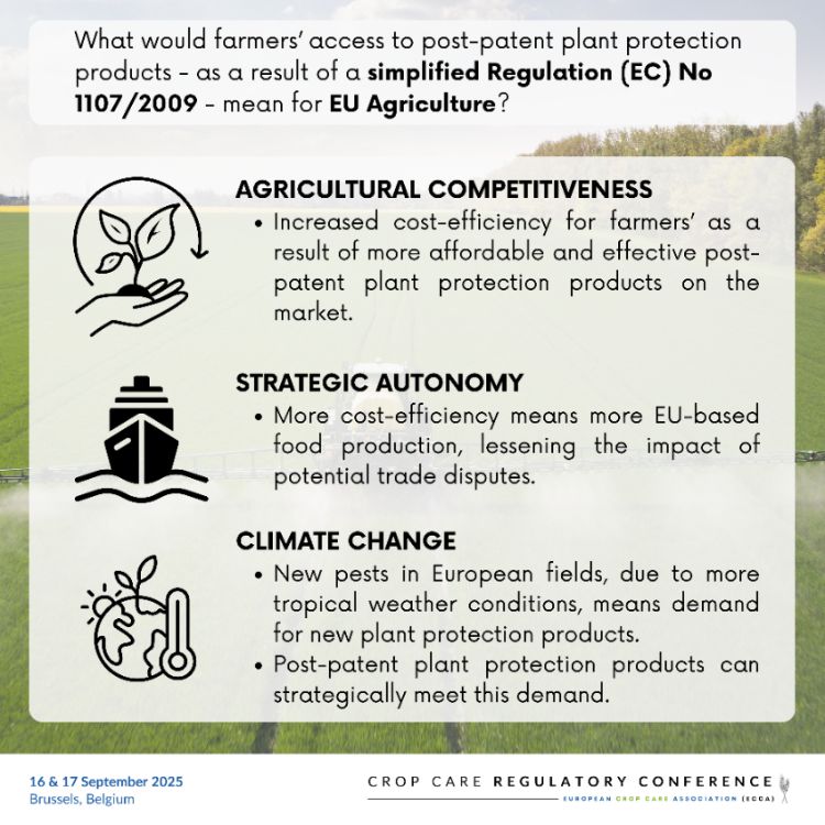 Infographic